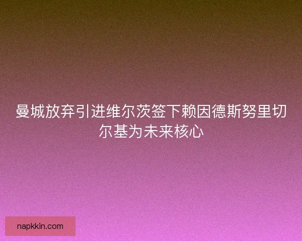 曼城放弃引进维尔茨签下赖因德斯努里切尔基为未来核心