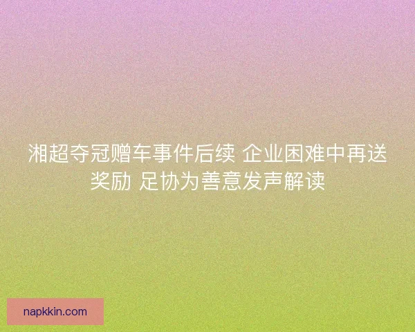 湘超夺冠赠车事件后续 企业困难中再送奖励 足协为善意发声解读